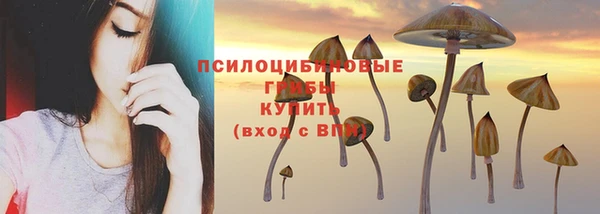 прущая мука Заволжье