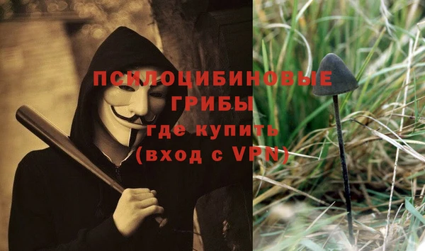 ALPHA PVP Покров