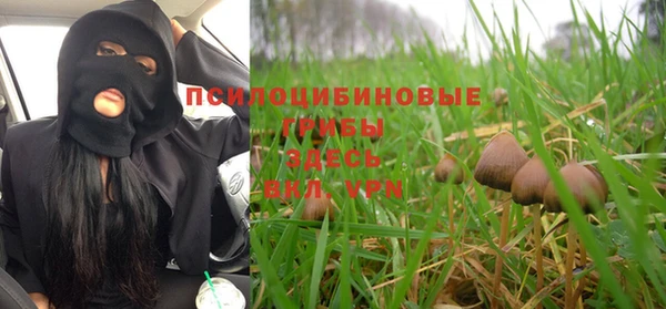 кристаллы Покачи