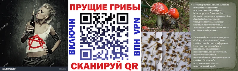 Псилоцибиновые грибы ЛСД  купить   Кисловодск 