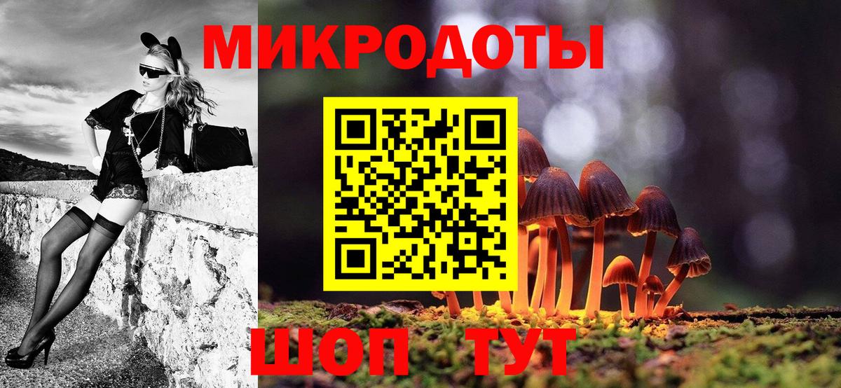 Галлюциногенные грибы прущие грибы Кисловодск